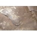 Cowhide Rug Gold Metallic on Beige - L - (36 SQFT)