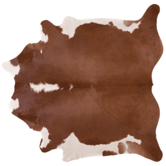 Cowhide Rug | Brown and White Regular | XL | 43 SQ FT