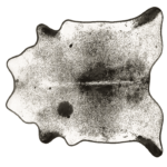 COWHIDE RUG | SALT AND PEPPER BLACK AND WHITE WITH LEATHER TRIM | L | 35 SQ FT