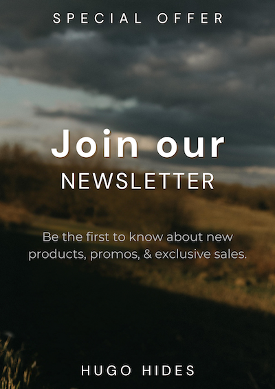 Newsletter Banner
