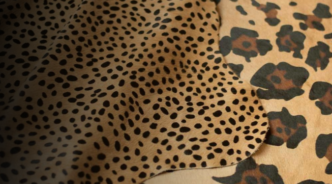 Animal Print <br>
Collection